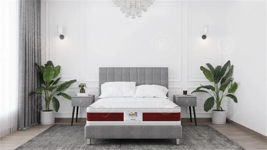 ​מזרוני קיסריה- meditation מדיטיישן