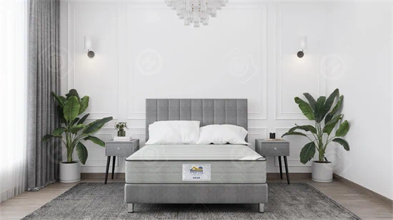 מזרוני קיסריה- "pleasure" פלייזיר